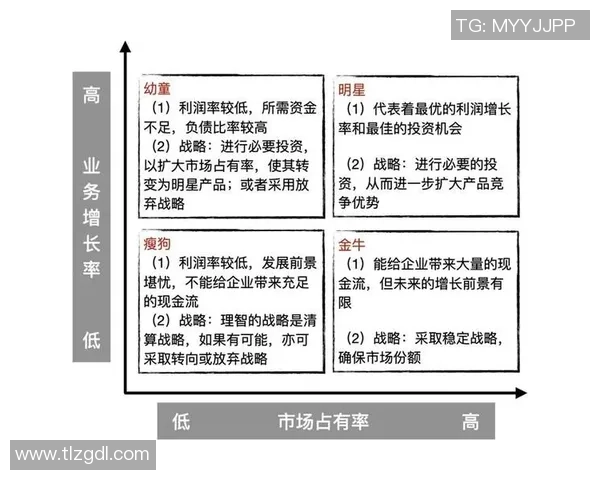 广州篮球队实力深度解析与对手力量全面对比分析