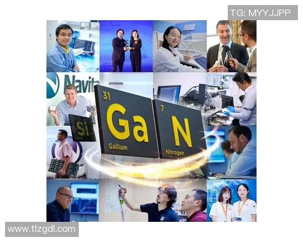 成都排球队的崛起之路欧锦赛背后的奋斗与荣耀